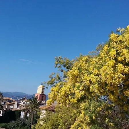 Dolce Farniente Sainte-Maxime